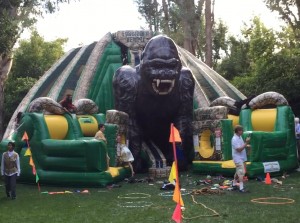 Obstacle.Course-King.Kong