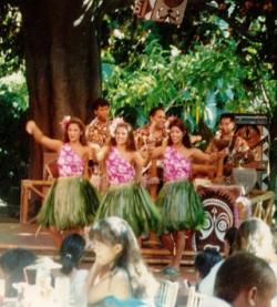 Hawaiian Luau Party  Hawaiian Luau Parties  Hawaiian Luau Party Plan