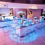 Themed.Bat.Mitzvah-DFW