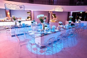 Themed.Bat.Mitzvah-DFW